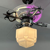 Delray™ Neon Ceiling Fan (Strawberry Éclair)