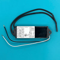 Neon Power Supply (Delray™)